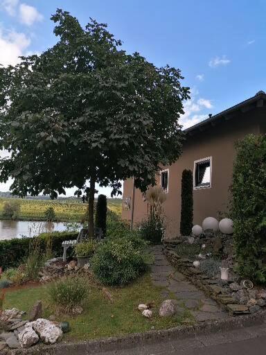 Haus Der Weinkoenigin Kristina Apartment Писпорт Екстериор снимка